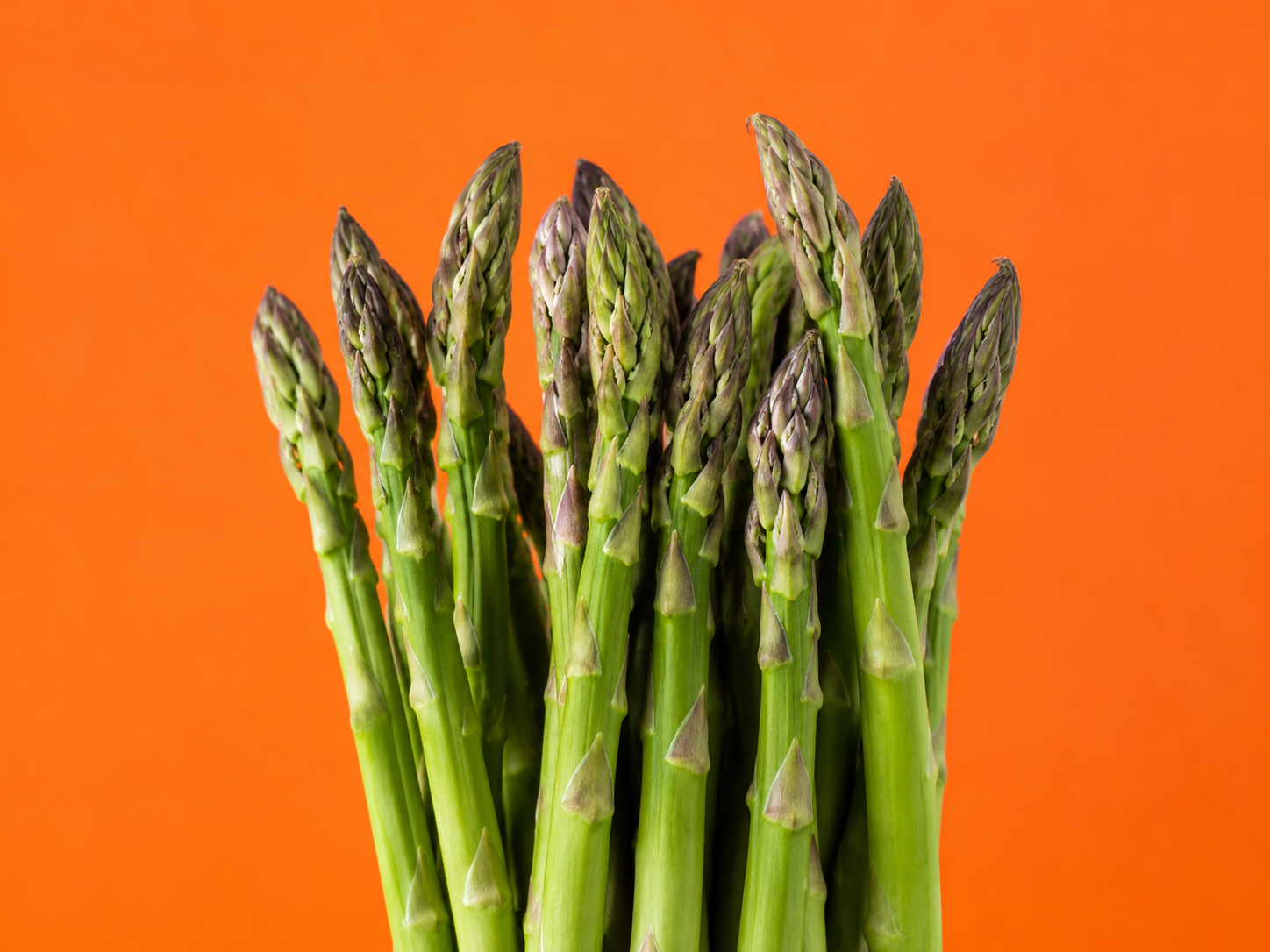 Asparagi: proprietà, benefici e come utilizzarli in cucina